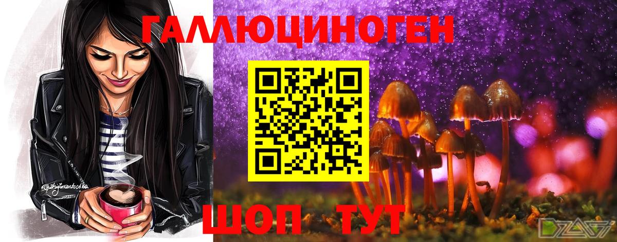 Галлюциногенные грибы мицелий  Псилоцибиновые грибы мицелий  Вход с VPN  Воткинск 